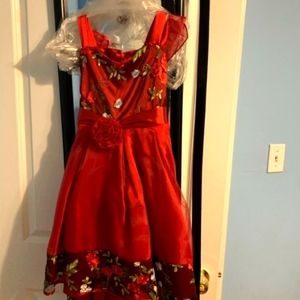 Girls red dress. New never worn size 14